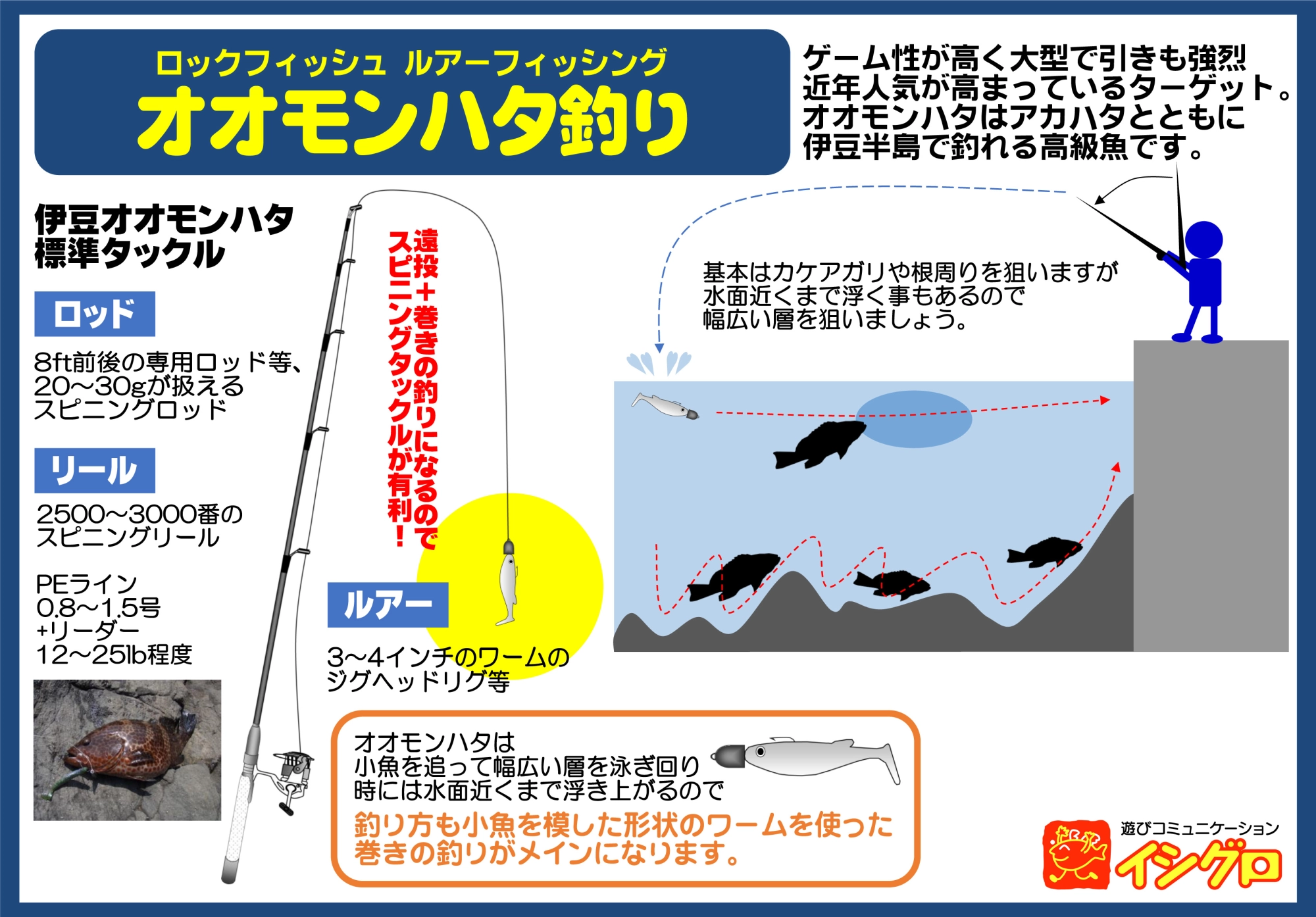 ロックフィッシュ オオモンハタ | 釣具のイシグロ | 釣り情報サイト